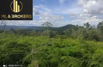 Chácara / sítio à venda em São Silvestre, Campo Largo 