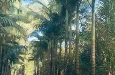 40.000m2 /deck rio cacatu/acesso mar/300 metros frente rio cacatu