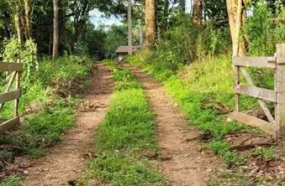 Chácara / sítio com 3 quartos à venda na Bairro Pangare, QUITANDINH, Pangaré, Quitandinha
