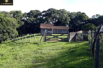 Chácara / sítio com 2 quartos à venda na Bugre  Balsa Nova  Pr, Bugre, Balsa Nova