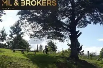 74.000 m2 / riacho passa propriedade /15 km contenda / ideal investidor