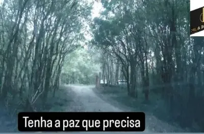 Chácara / sítio com 2 quartos à venda na Estrada Da  Lagoa Gorda  Lapa, Mariental, Lapa