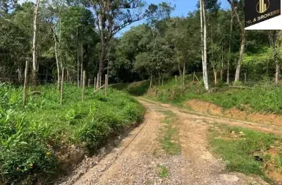 100.000m2/margens pr410 est graciosa/plantação pupunha produzindo