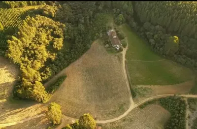 Chácara / sítio com 3 quartos à venda na ÁRea Rural, Zona Rural, Mandirituba