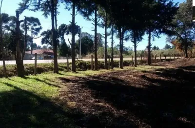 Chácara / sítio com 3 quartos à venda na Zona Rural, Mandirituba 