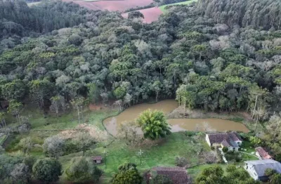 Chácara / sítio com 5 quartos à venda no São João do Caiva, Lapa 