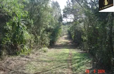 84.000 m2/ área industrial/ 200 mts pr 510/ideal investidor