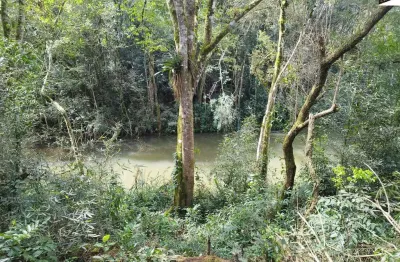 Chácara / sítio com 3 quartos à venda na R Prof Júlio Carvalho Gomes, 6100, Roça Velha, São José dos Pinhais