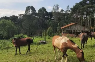 16.200m2/mini haras 8 baias/3 lagos/ideal investidor