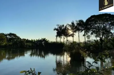 177.000m2/5 km do centro/plantação pupunha/ideal investidor