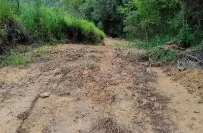 24.000m2/com plantação eucaliptos/otima localização