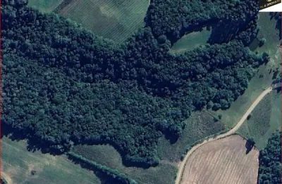 Chácara / sítio à venda na Zona Rural, Balsa Nova 
