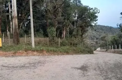 20.000m2/perto br 277/documentação ok/otima localizaçao
