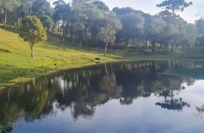 Sítio / chácara 2 quartos para venda no bairro areia branca dos assis em mandirituba