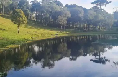 Sítio / Chácara 2 quartos para Venda no bairro Areia Branca dos Assis em Mandirituba