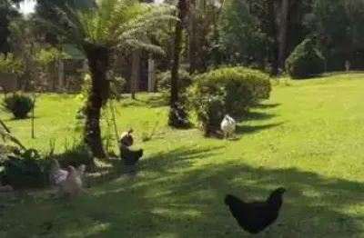 Chácara / sítio com 2 quartos à venda na Zona Rural, Tijucas do Sul 