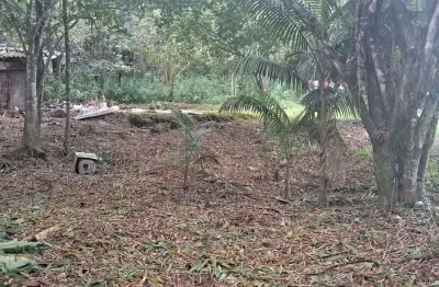 229.500m2/frente pr 340/perto ponte rio do nunes/ideal investidores