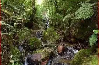 40.781/estrada são joão povinho/vista escarpas da serra