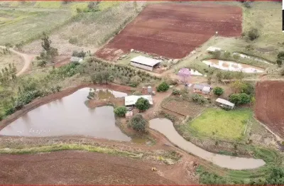 Chácara / sítio com 3 quartos à venda na Área Rural, Área Rural de Campo Mourão, Campo Mourão