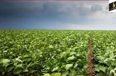 Chácara / sítio à venda na Zona Rural, Alvorada do Sul 