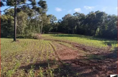24.200m2/75% plantação/aceita permuta casa praia/ideal investidores