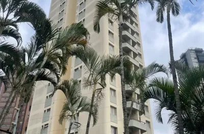 Apto morumbi 01 dorm 01 vaga, localização privilegiada, arborizada,  farta de condução e comercio