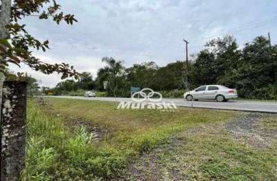 Chácara com 1 dormitório à venda, 2420 m² por r$ 280.000,00 - zona rural - guaratuba/pr