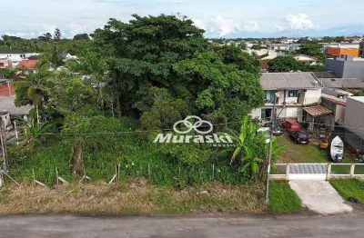 Terreno à venda, 390 m² por r$ 250.000,00 - cohapar - guaratuba/pr