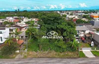 Terreno à venda, 780 m² por r$ 500.000,00 - piçarras - guaratuba/pr