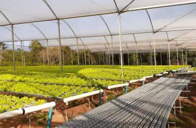 Chácara com 2 dormitórios à venda, 52000 m² por r$ 3.000.000,00 - vila guadiana - mandaguaçu/pr