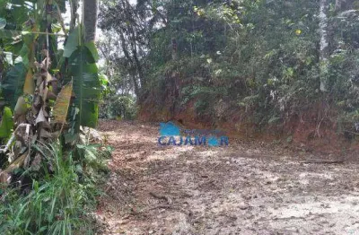 Terreno à venda, 3452 m² por r$ 150.000 - ponunduva - cajamar/sp