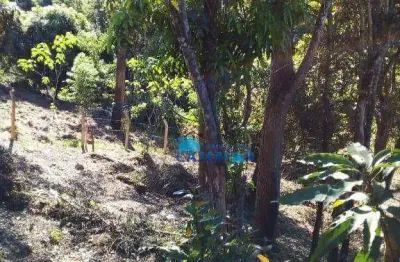 Terreno à venda, 1000 m² por r$ 120.000,00 - ponunduva - cajamar/sp