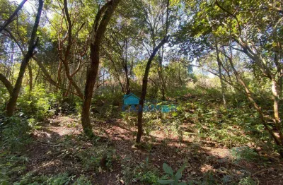 Terreno à venda, 3300 m² por r$ 250.000 - ponunduva - cajamar/sp