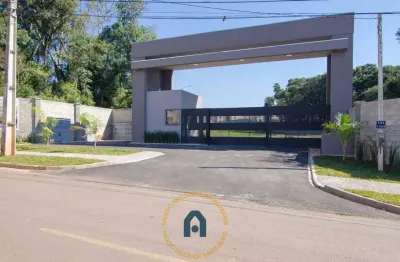 Terreno em condomínio à venda em são josé dos pinhais, colônia rio grande, 374,11m²