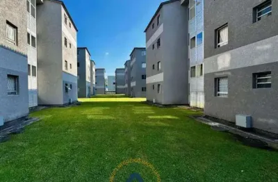 Apartamento à venda em São José dos Pinhais, Ouro Fino, com 2 quartos, 45m²