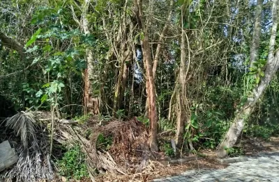 Maravilhosoterreno  na praia de boraceia são sebastião são paulo