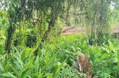 Terreno à venda na Alameda Campo Grande, 00, Boracéia, São Sebastião