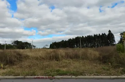 Terreno plano, à venda no bairro nossa sra das graças