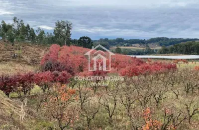 Terreno à venda na estrada valentin venturin, 370, santa catarina, caxias do sul por r$ 529.000