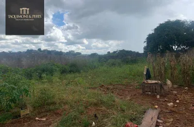 Lote de  446 metros, murado, aterrado e com portão!