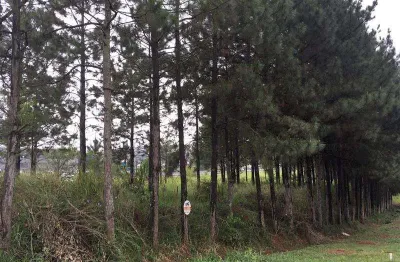 Terreno comercial para alugar na Rua Cristal, sn, Jardim Jóia, Arujá