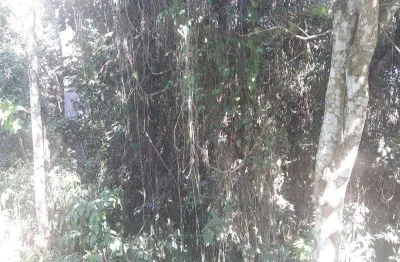 Terreno em condomínio fechado à venda na Rua Maranhão, QUADRA 23, Arujázinho I, II e III, Arujá