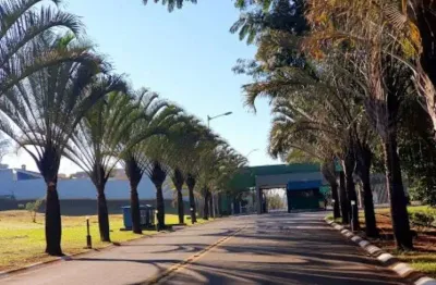 'terreno espetacular de 250m² em paulínia - construa a casa dos seus sonhos