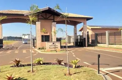 Casa com quintal e área gourmet no alphaville campinas