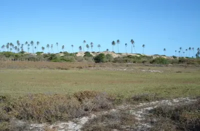 Terreno à venda na Praia De Imbassai, Imbassai, Mata de São João