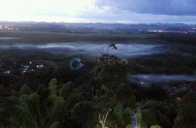 Apartamento com 3 quartos à venda na Avenida Madre Teresa, 621, Centro, São José dos Campos