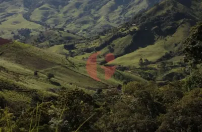 Fazenda à venda na Br 459 Km 186, s/n, Zona Rural, Delfim Moreira