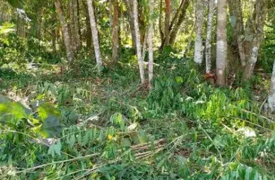 Terreno rural para venda em mogi das cruzes, taiacupeba