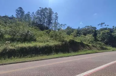 Terreno à venda, 48958 m² por r$ 1.000.000,00 - testo alto - pomerode/sc
