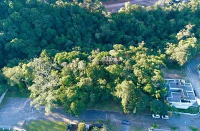 Terreno à venda, 785 m² por r$ 549.000,00 - ponta aguda - blumenau/sc